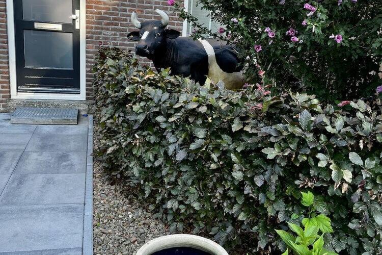 Cozy Holiday Home In Elim With A Furnished Garden Eksteriør billede